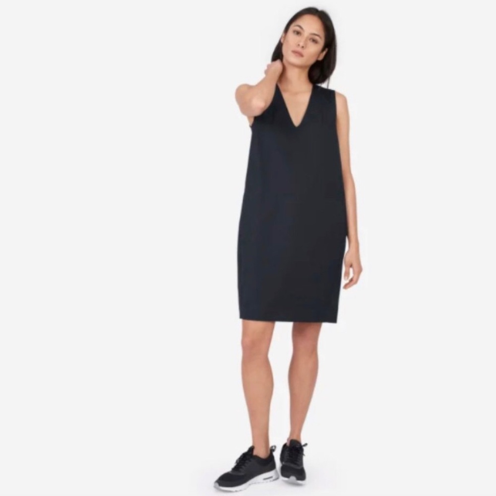 Everlane v-neck tank dress